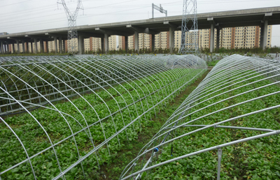 Agriculture Greenhouse Frame